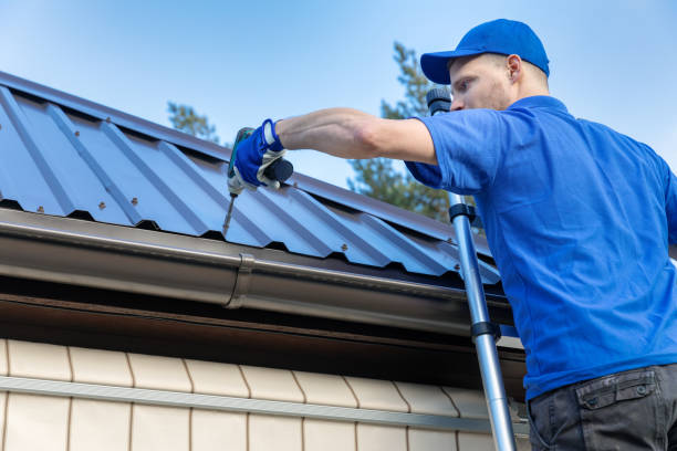 Best Metal Roofing Installation  in St Louis, MI