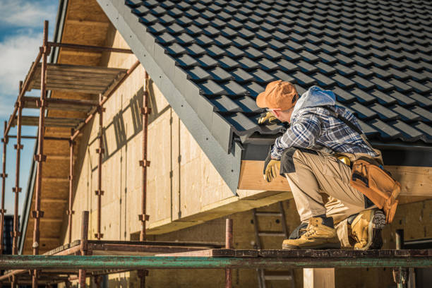 Best Skylight Installation and Repair  in St Louis, MI