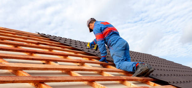 Best Roof Moss and Algae Removal  in St Louis, MI