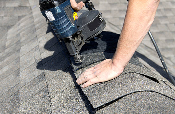 Best Solar Panel Roofing Installation  in St Louis, MI
